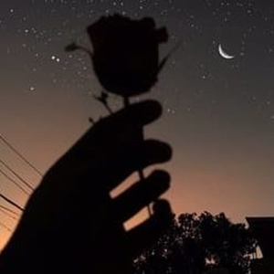 狼友视频免费观看
