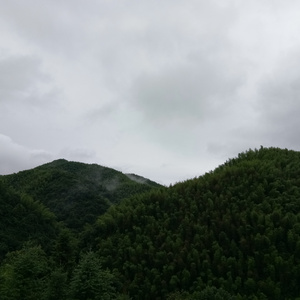 狼友视频免费观看
