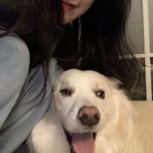 狼友视频免费观看
