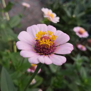 狼友视频免费观看
